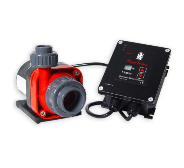 Royal Exclusiv Red Dragon 3 Mini Speedy Pump, 60w