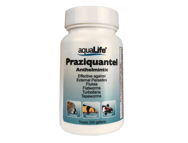 AquaLife Praziquantel, Treats 250 Gallons