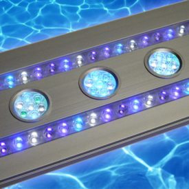 eco-lamps スペクトラ　SP200 LEDライト　海水　器具 SPECTRA SP200(スペクトラ) シルバー | チャーム