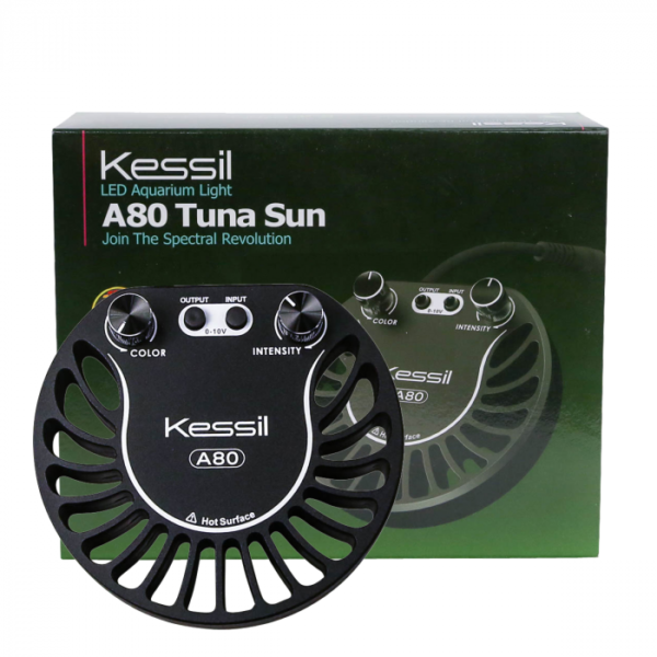 Kessil® A80 Tuna Sun LED Light Fixture